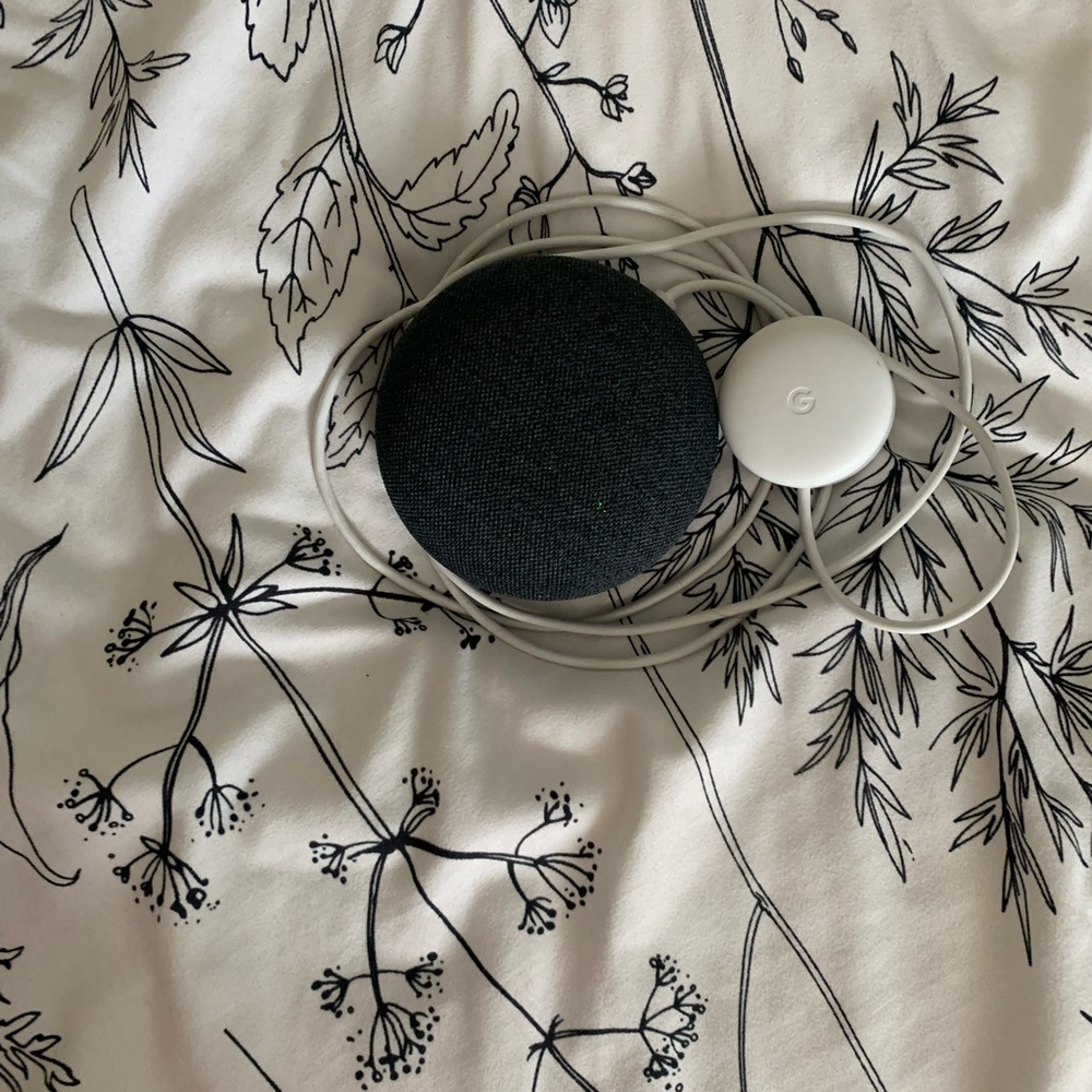 Brand New Google home Nest Mini 🏠